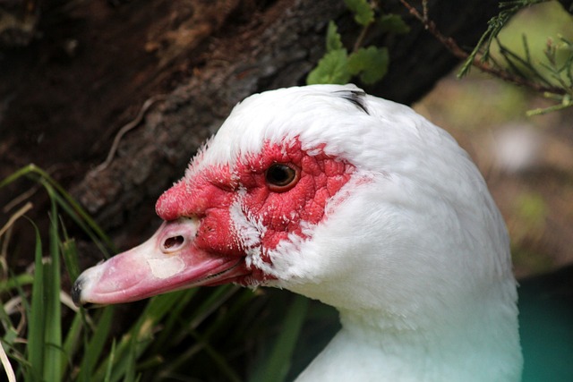 打造成了一 打造成了一