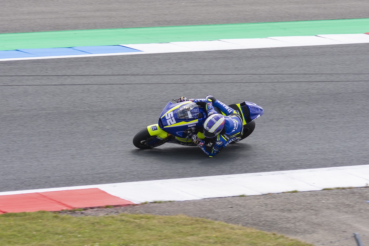 育价值观的 育价值观的