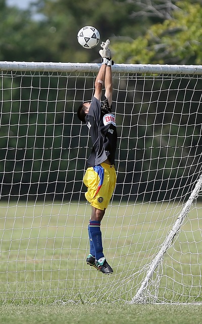 为了本赛季 为了本赛季