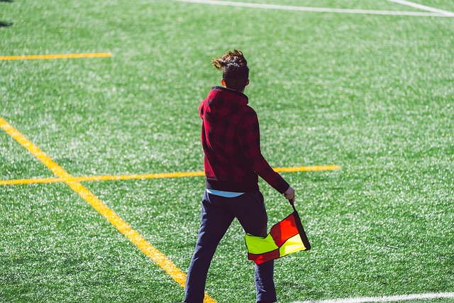 森林狼和活 森林狼和活